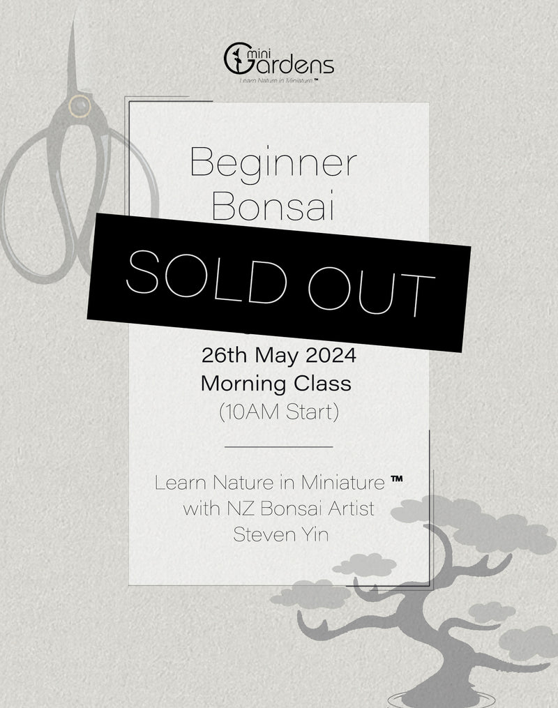Beginners Bonsai Workshop | 26th May 2024 (Morning Class)
