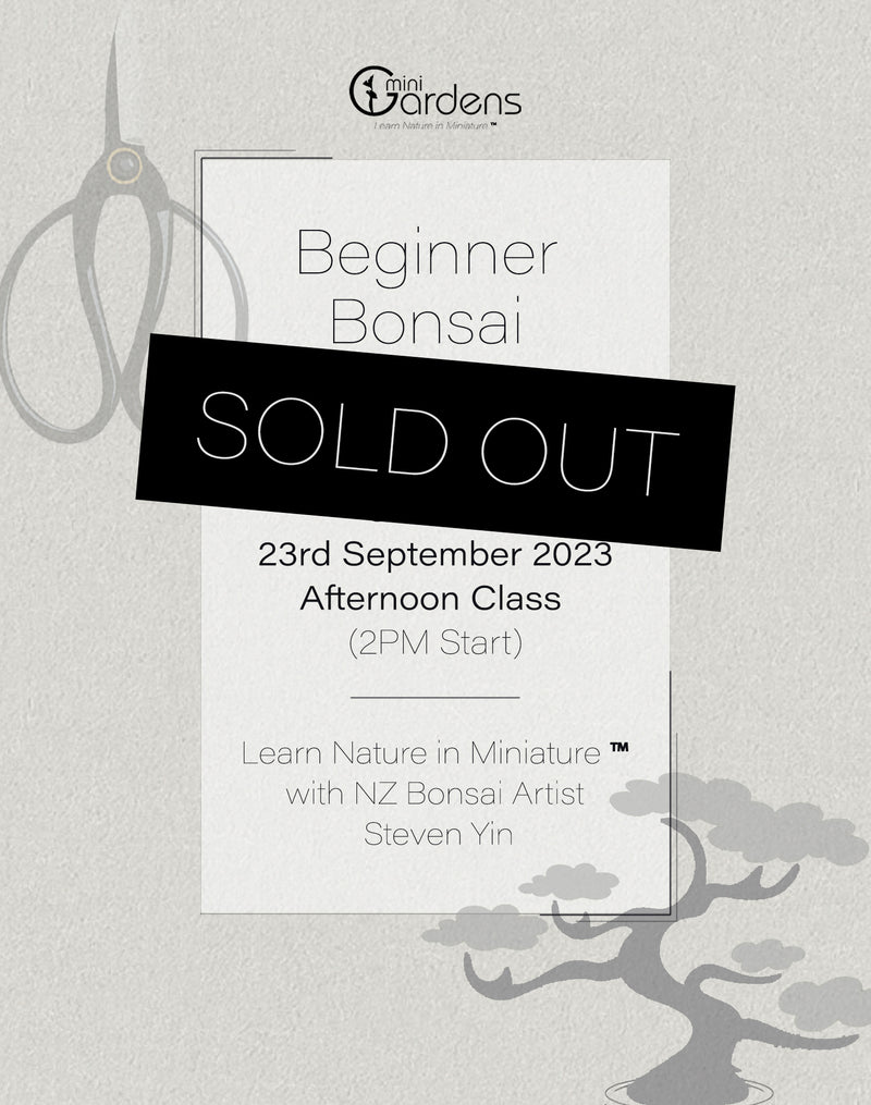 Beginners Bonsai Workshop | 23rd September (Afternoon Class)