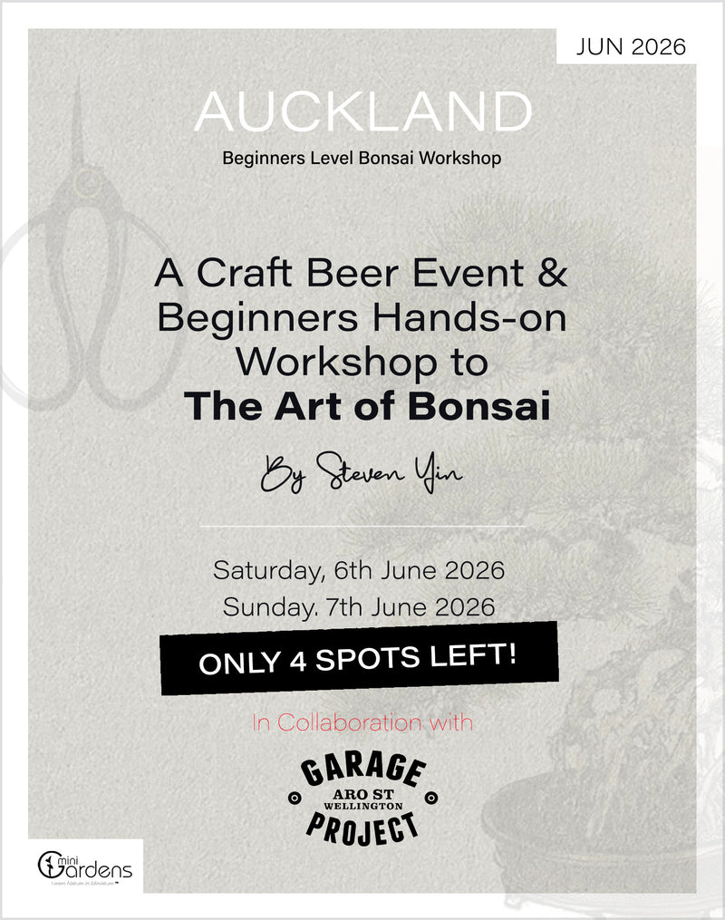CRAFT BEER & BONSAI Beginners Workshop | 6th&7th Jun 2026 - MiniGardens Bonsai New Zealand