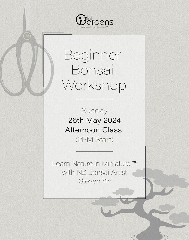 Beginners Bonsai Workshop | 26th May 2024 (Afternoon Class)