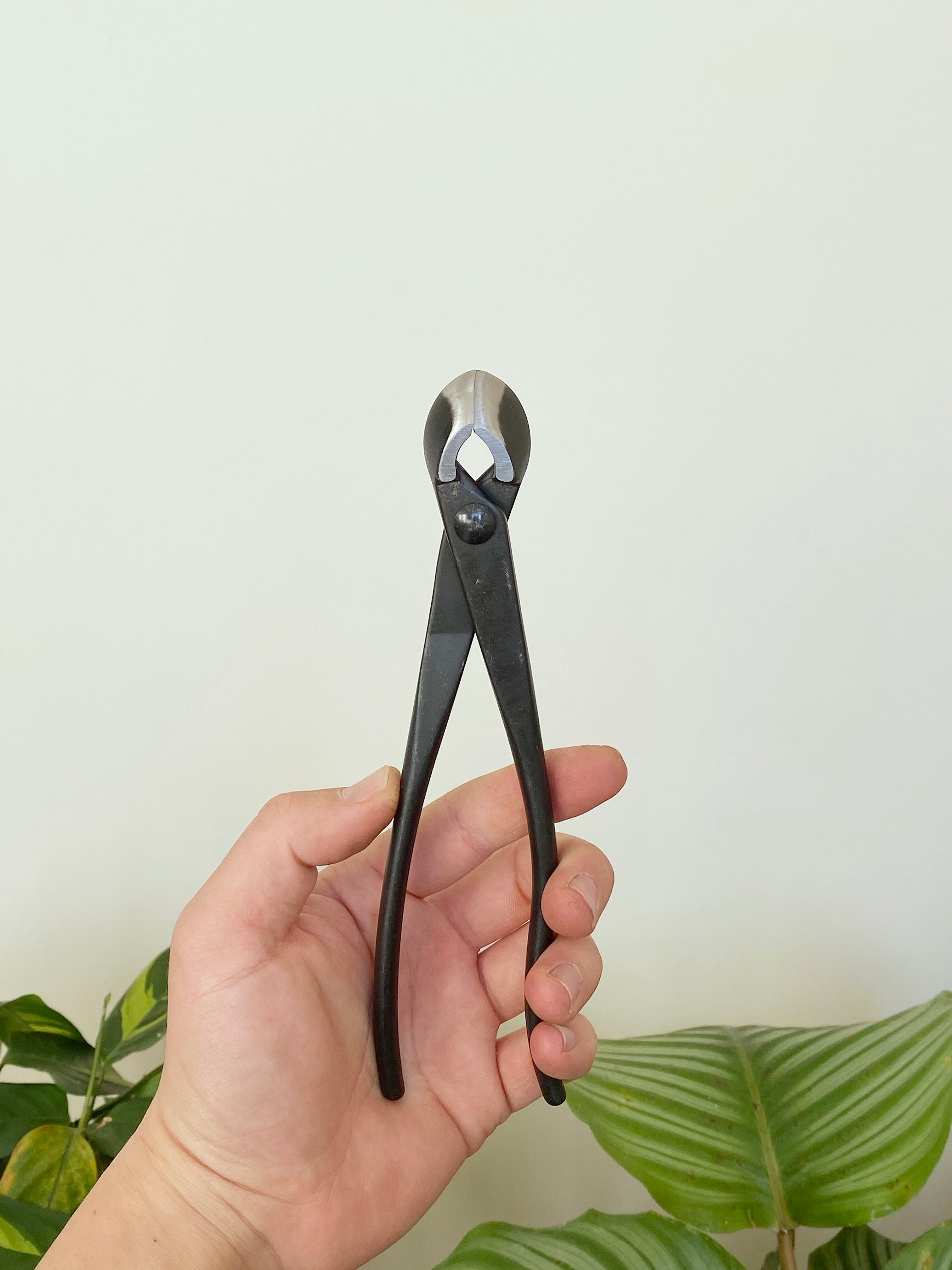 CONCAVE CUTTER 210mm MiniGardens Bonsai NZ