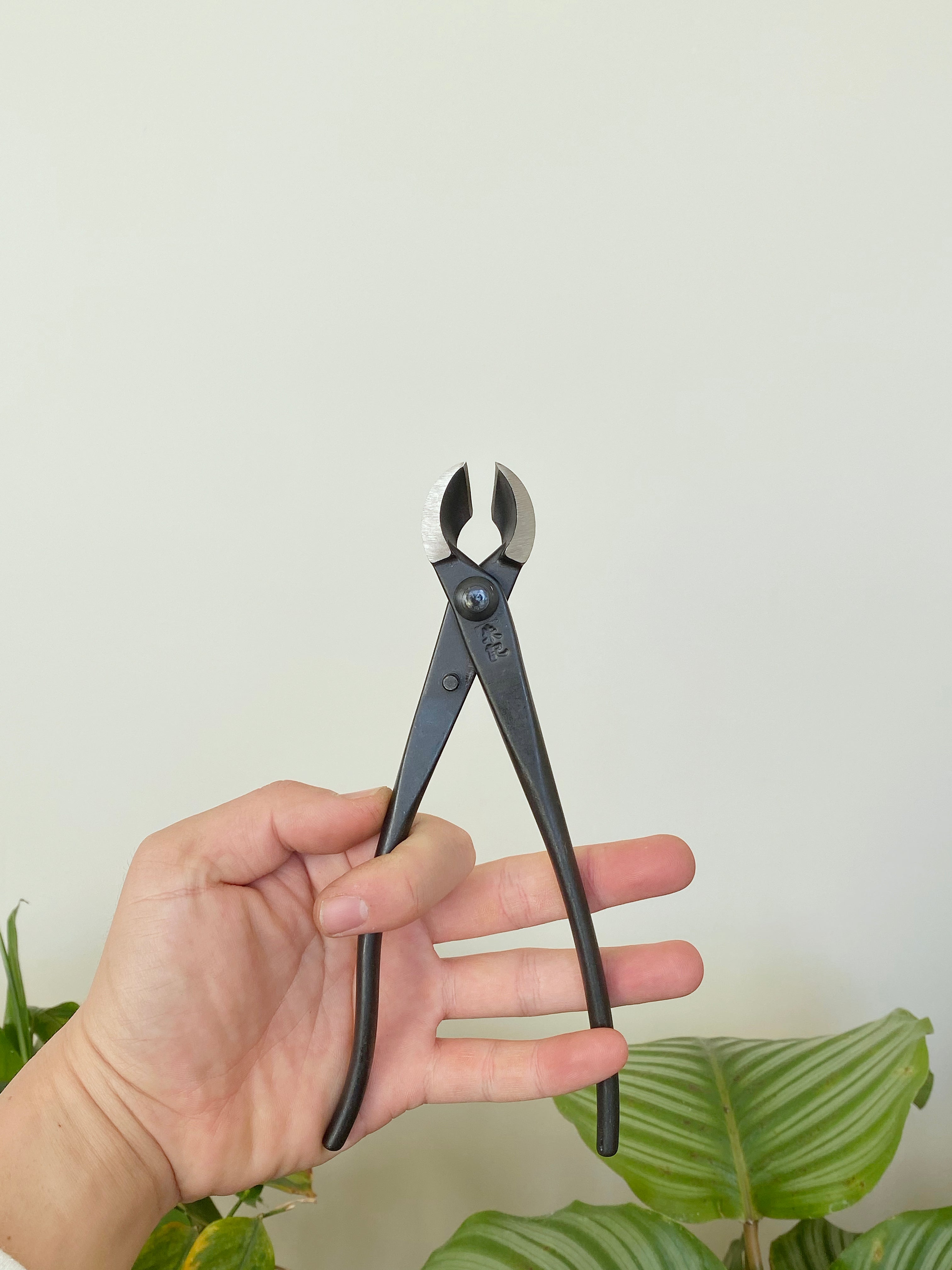 CONCAVE CUTTER 210mm MiniGardens Bonsai NZ