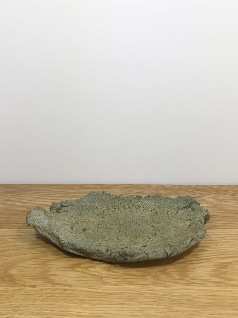 HUMIDITY TRAY MiniGardens Bonsai NZ